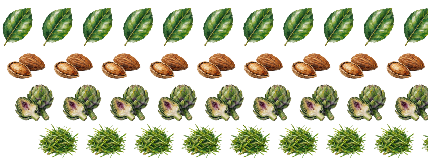 Piantate Lunghe prodotti 6.png__PID:6a165bff-66ed-48a6-9e4e-2b4e529f3bbe